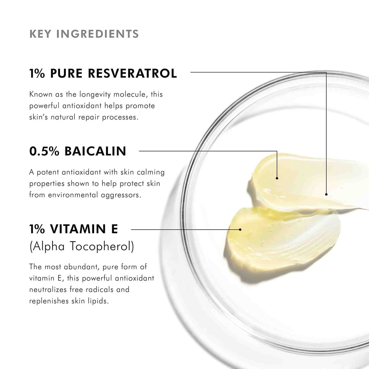 Resveratrol B E 1 oz Nighttime Antioxidant Serum
